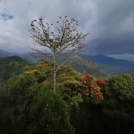Hotel Palmtree Leaf, Munnar Exterior foto